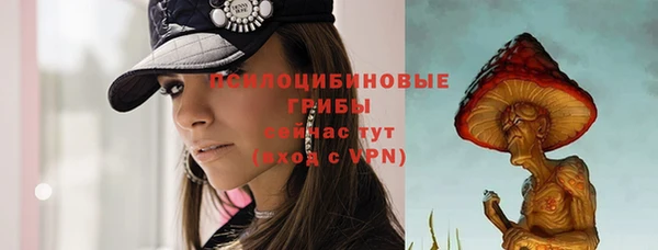 прущая мука Арсеньев